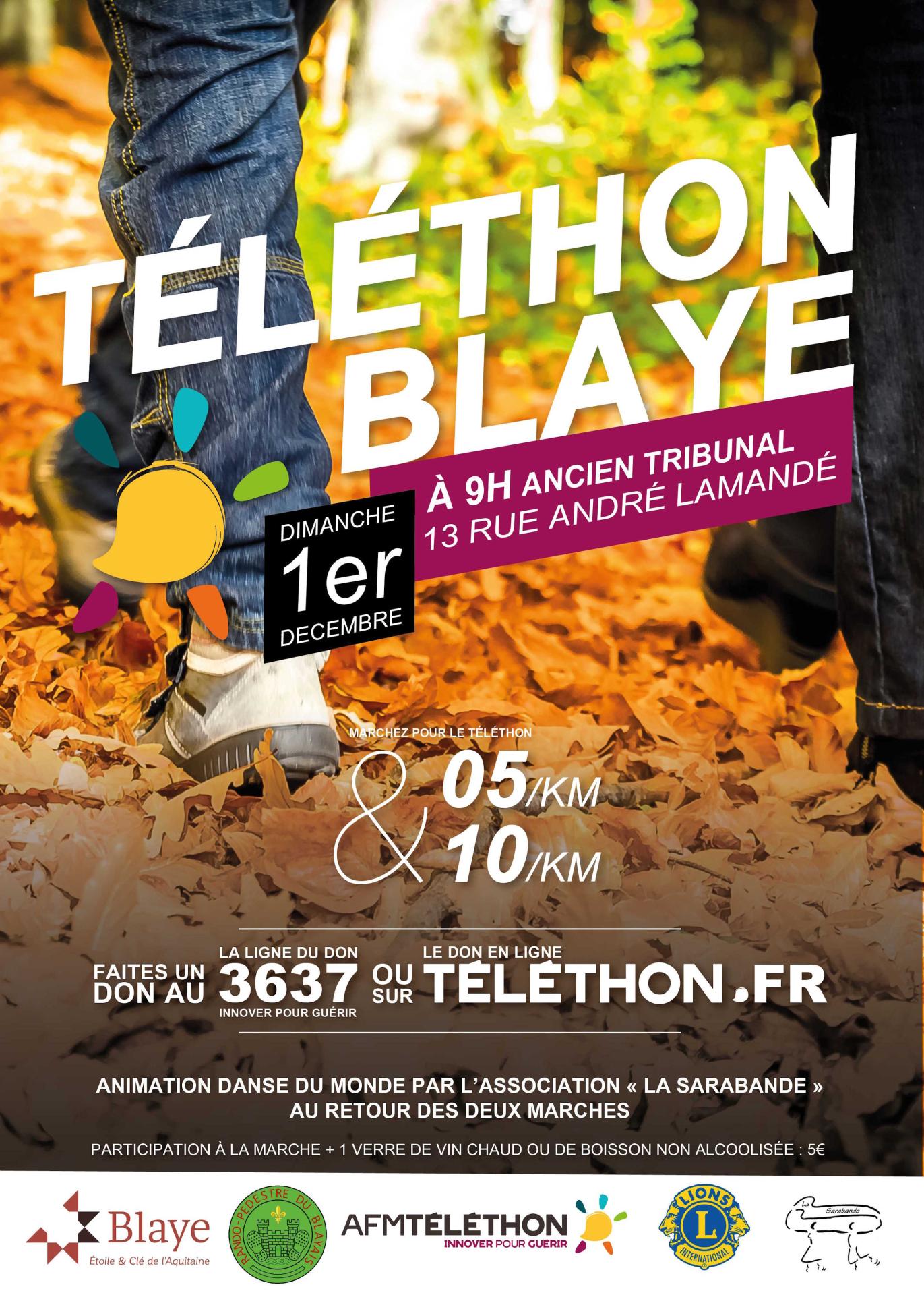Affiche telethon 2024